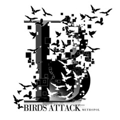 Birds Attack