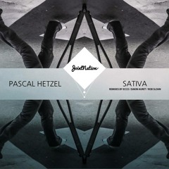 Pascal Hetzel - Sativa (Dakin Auret Remix)