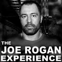 Joe Rogan On Improving Any Aspect Of Your Life