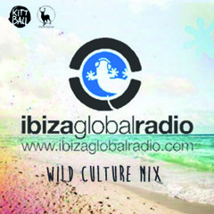 Wild Culture Mix for the Kittball Radio Show on Ibiza Global Radio [04.08.2013]
