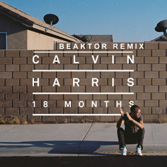 I Need Your Love (Calvin Harris Ft Ellie Goulding) (Beaktor Remix) 5