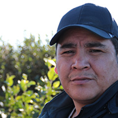 Mathieu Bellefleur - Nutshimiuinu