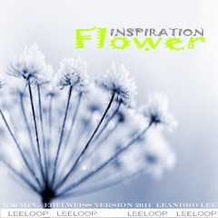 Leandro Lee - Flower Inspiration (Edelweiss)