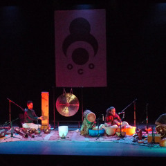 Voyage - "Harmonic Sound Travel" 2011
