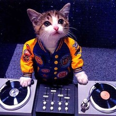 Let's Bounce!