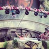 NO_ID Live @ Mainstage Tomorrowland 2013 Full Set