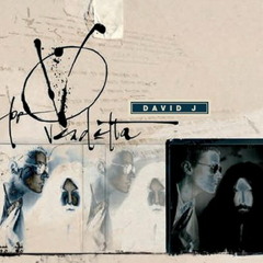 This Vicious Cabaret