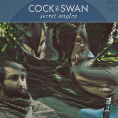 Cock & Swan - Animal Totem