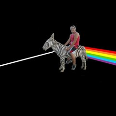 Paracetamol attack ft Tupac - Breathe (Pink Floyd )