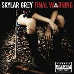 Reva Raps feat Skylar Grey-Final Warning