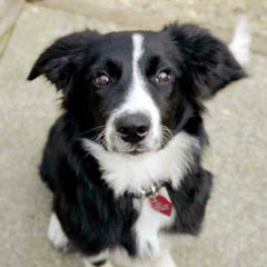 True Friends New Mix 2