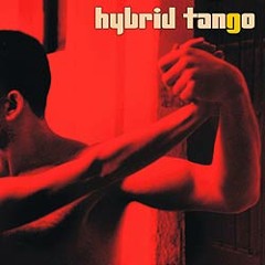 Hybrid Tango