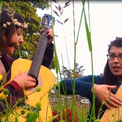 Turned into a Folk Song