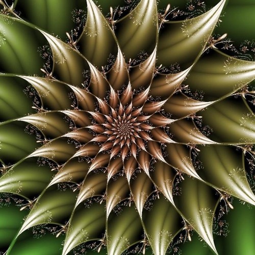 Fantasy Fractal.