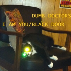I AM YOU-DUMB DOCTORS