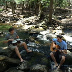 The Acorn Stomp (2010)