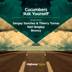 Cucumbers — Ask Yourself (Neil Quigley Remix)