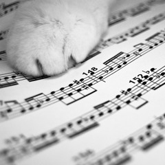 I Love Music Instrument