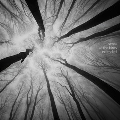 All the Birds (Frontcore remix)