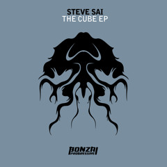 Steve Sai - The Cube (Original Mix)
