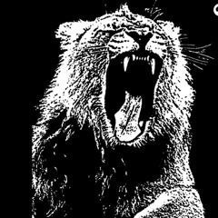 Animal's Legacy martin garrix & hardwell