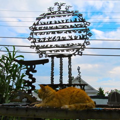 Temple of the Cat