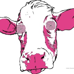 04.08.2013 - Bab_C Live at CheMiCaLLy ImBaLaNcEd Sunday Breakfast Radio