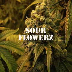 JediSwift feat. The Jinni - Sour Flowerz (Smoker's Anthem)