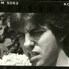 Violet Don't Be Blue