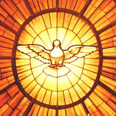 illuminate: sensus divinitatis -excerpt-