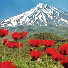 وسعت سبز - حمید غلامعلی