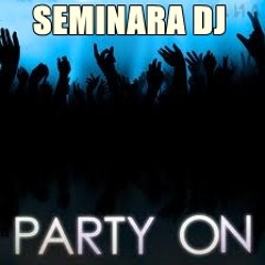 Seminara Dj - Party On (Original Mix)