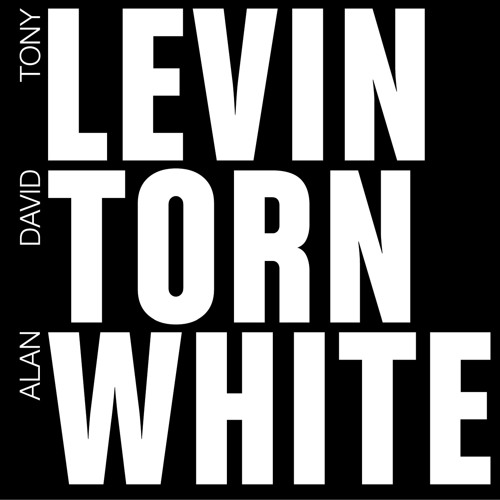 LEVIN TORN WHITE - Audio Snippet