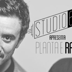 Planta e Raiz - Com Certeza - Studio62