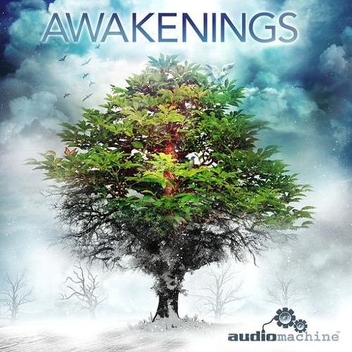 Tree Of Life - by audiomachine