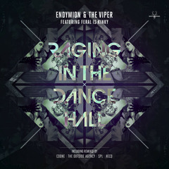 Raging in The Dancehall (SPL RMX) (Ethan Dubb 40Phive edit) - Endymion & the Viper ft.Feral is Kinky