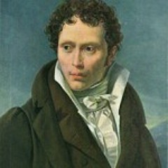 PREVIEW Schopenhauer on Explanations and Knowledge - Partially Examined Life