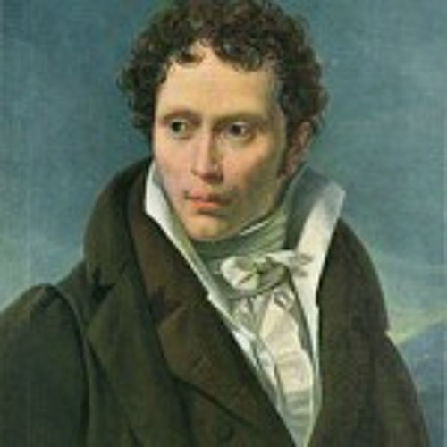 PREVIEW Schopenhauer on Explanations and Knowledge - Partially Examined Life