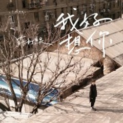 我好想你 - 蘇打綠 (Cover by Hylas) #IMissU