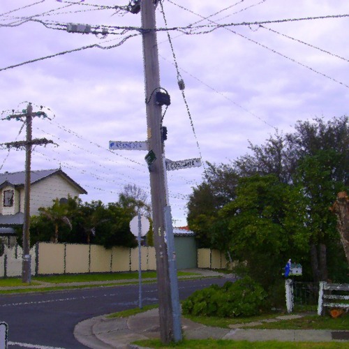 Psychedelic Aussie Bird Song (Manic Remix)