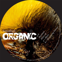Martinez B side Meausuring Source Lomidhigh Organic 016