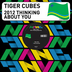 2012 Thinking About You (Original Mix)
