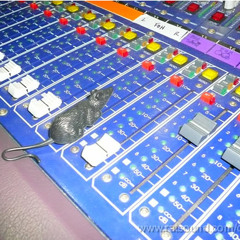 Brains Disappeared Corp - Salvaje operación matemática producto de cpu's obsoletas y mentes lineales