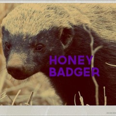 Honey Badger