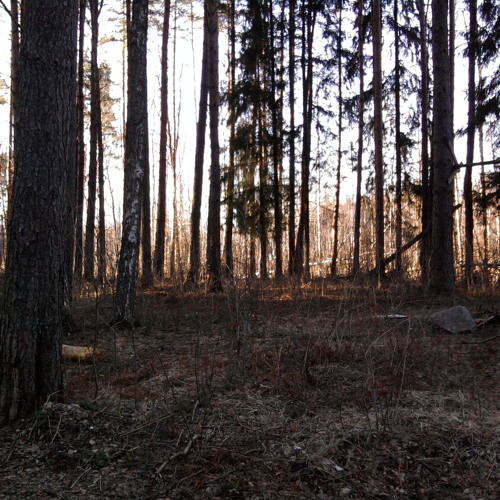 Dark Ambient The Inner Devil - Winter Forest