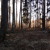Artwork for Dark Ambient The Inner Devil - Winter Forest