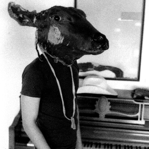 Shakey Graves - Roll The Bones - 10 To Cure What Ails...