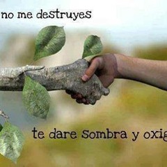 L.PLEX DJ SET SESSION AGOSTO