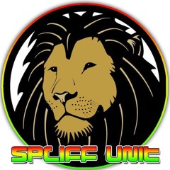SERIOUS THING -SERIOUS THING _ Isaac Maya , Spliff Unit & War