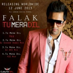 Tu Mera Dill